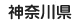 �_�ސ쌧